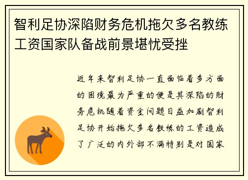 智利足协深陷财务危机拖欠多名教练工资国家队备战前景堪忧受挫